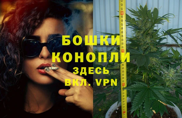 крисы Армянск