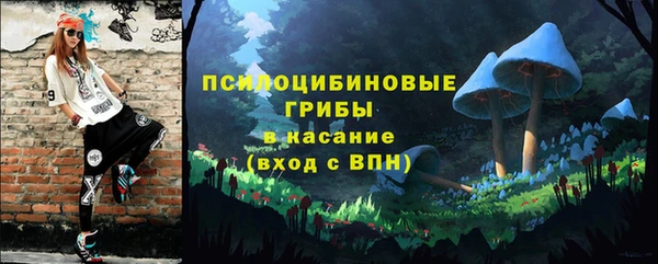 крисы Армянск