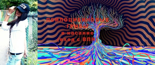 гашишное масло Арсеньев