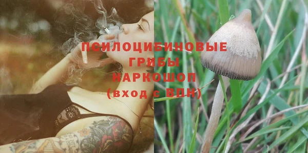 дживик Алексеевка
