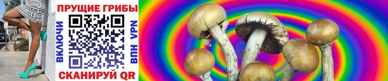 Галлюциногенные грибы GOLDEN TEACHER  Балтийск 